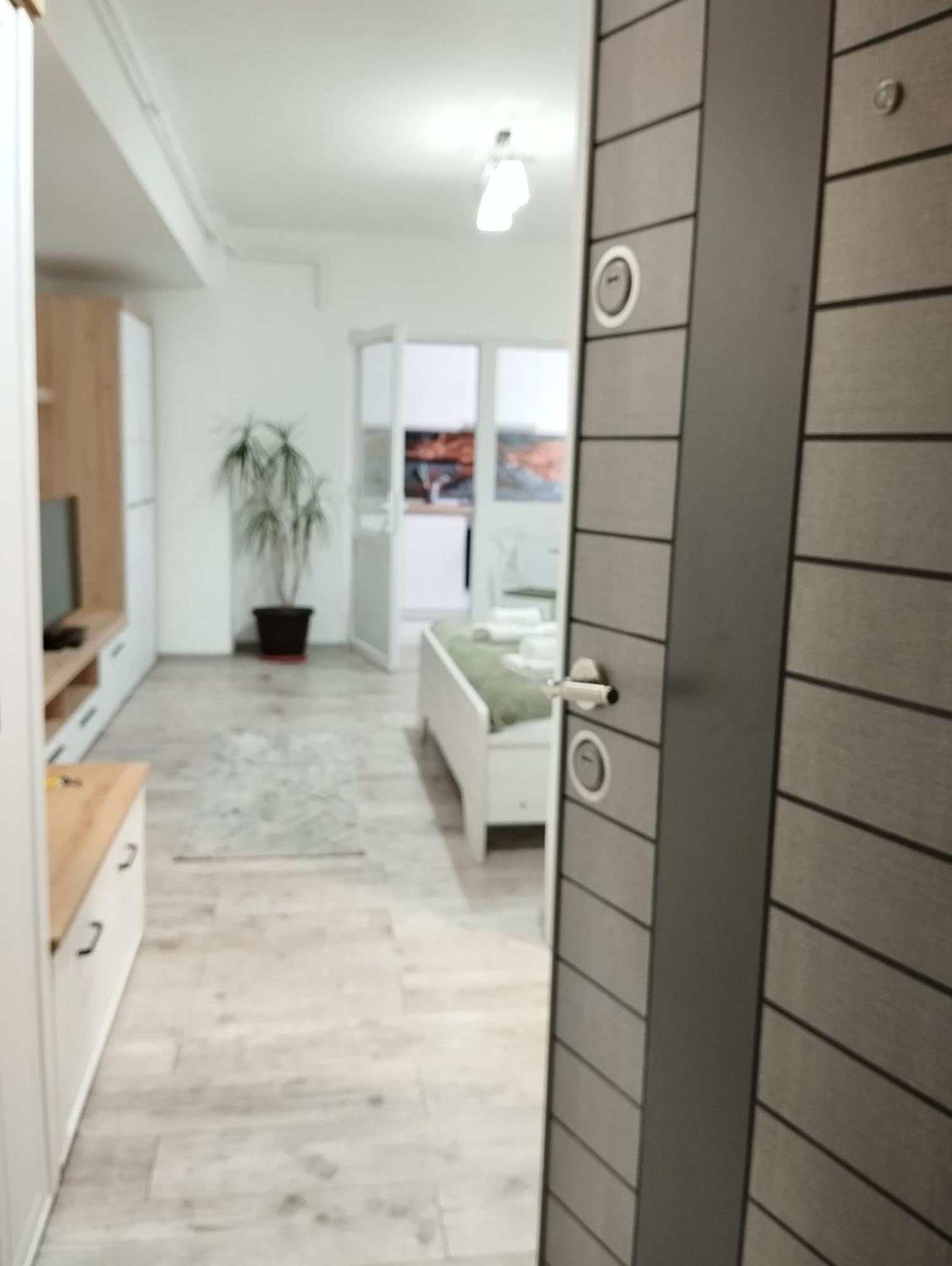 קריובה Amber Studio מראה חיצוני תמונה